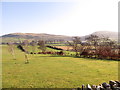 Pastureland and hedges east of Ballyvally Road