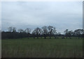 Farmland near Courthouse Farm