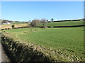 The headwaters of the Moygannon River