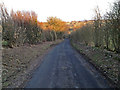 Road from Whitrigg to Snittlegarth or Ireby