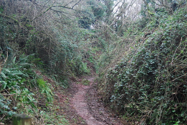 South West Coastal Path