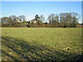 Applegarthtown from the River Annan