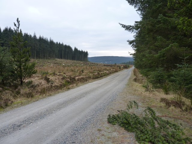 Forest track between Craigwhinnie and Loch Grannoch