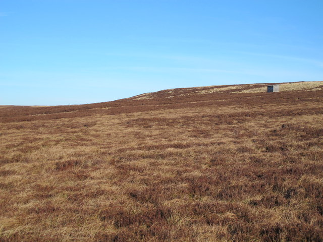 Moorland south of Byers Pike