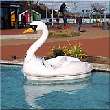 J5082 : Swan, Pickie Fun Park by Rossographer