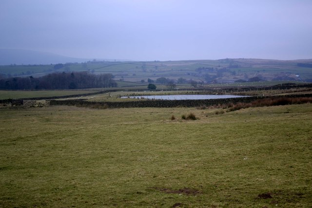 Pond in field above High Denton Farm