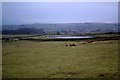 Pond in field above High Denton Farm