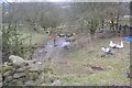 Un-named Stream at Hollingley Farm