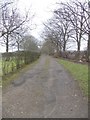 Footpath - Alwoodley Lane