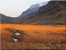 NN1456 : Wetland, Glen Coe by Richard Webb