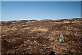NR2463 : Burnt heather behind Sunderland hill, Islay by Becky Williamson
