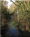 Disused railway line, Avonwick