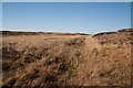 NR2562 : Faint track beneath Cnoc Breac, Islay by Becky Williamson