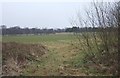 Moortown Golf Course - viewed from Primley Park Road