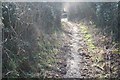 Descending to Acton Brook