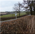 Hedge and fingerpost along Cranoe Road