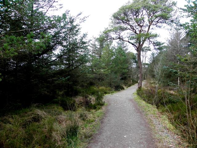 Lough-side path round Loughmacrory Lough