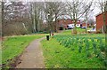 Footpath to Oriole Grove and Goldcrest Drive, Spennells, Kidderminster