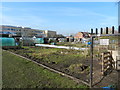 Allotments on St. Lesmo Road