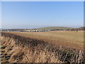 Farmland near Townhead