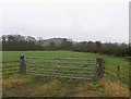 Fields south of Little Dalby Road