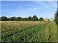 Towards Red Barn and Coldharbour Farm