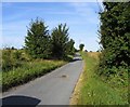 High Cross Lane near to Great Oddyns westwards