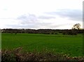 Bedford Road towards Cardington