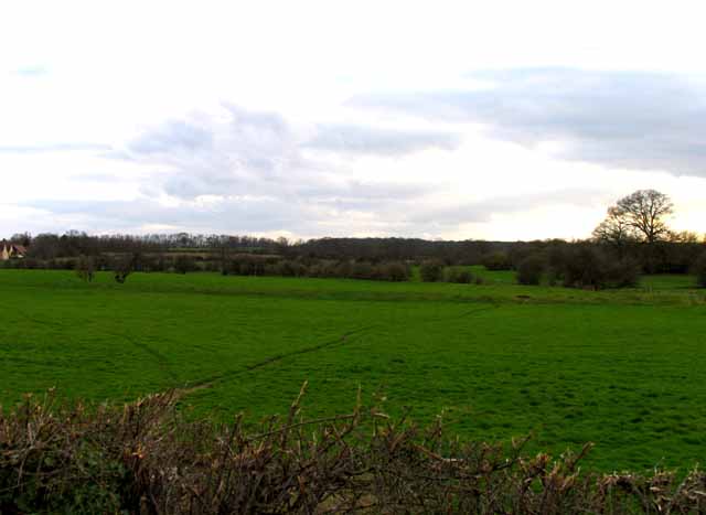Fields west of Bedford Road