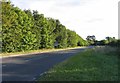 Bury Lodge Lane north-eastwards