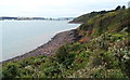 Pembroke coast west of Gelliswick Bay, Milford Haven