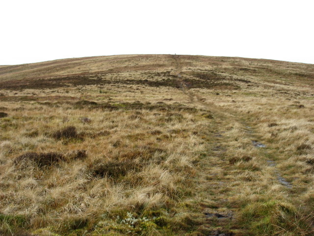 Burnbank Fell from the north-east