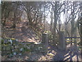 Bridleway and footpath at Roker Lane Bottom