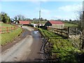 Curly Road, Cranny