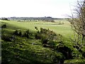 Shannaragh / Shaneargh Townland