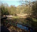 Portland Park Nature Reserve NG17, Notts.