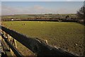 Field at Marwood