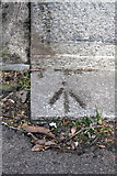 TQ2679 : Benchmark on pavement at steps to the Albert Memorial by Roger Templeman