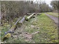 Discarded telegraph poles