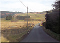 Road through Llwynygog