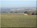 Farmland southwest of High Shilford