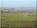 Farmland north of Riding Mill