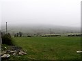 Grazing land between the B25 and the Leitrim River