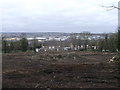 Development Land, Amherst Hill (4)