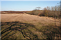 Stubble Field near Myrus