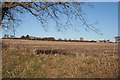 NJ7060 : Field near Durno by Anne Burgess