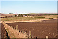 Looking towards Backhill of Bruntyards