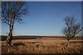 Looking towards Roseacre