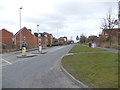 Thorpe Lane - viewed from Martingale Drive