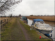 SD3710 : The Leeds and Liverpool Canal near Halsall by David Dixon